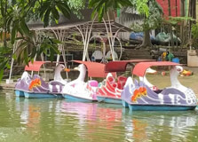 Taman Lele in Semarang