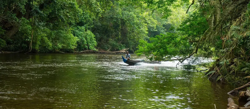 Taman Negara National Park