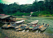 Taman Negara National Park in Pahang