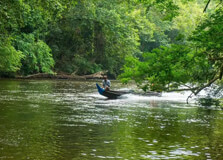 Taman Negara National Park in Sabah