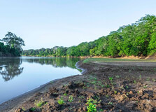 Tana River in Nairobi