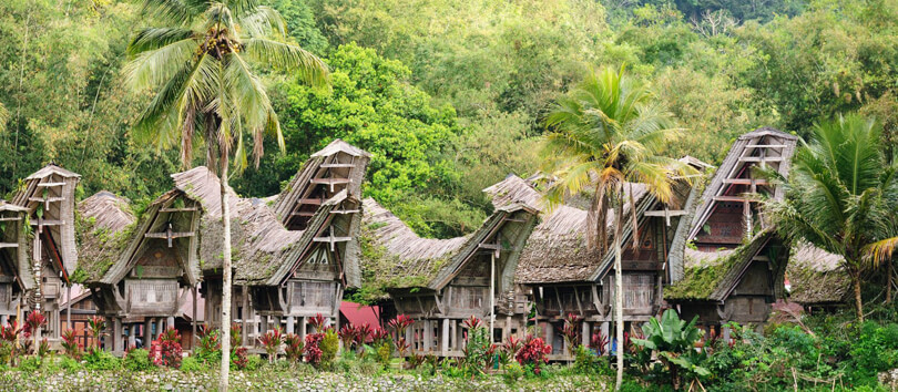 Tana Toraja