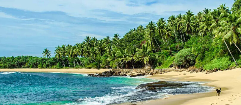 Tangalle Beach