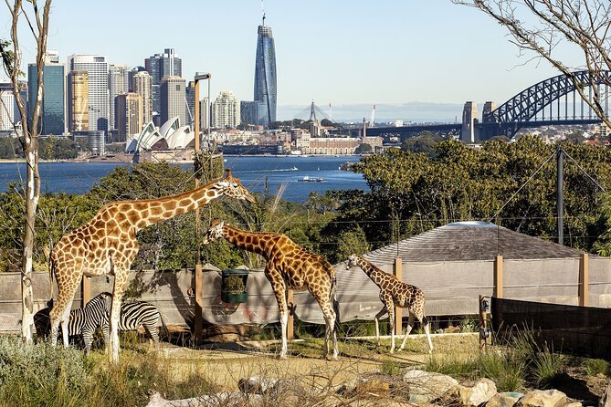 Taronga Zoo in Sydney