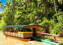 Tarsier Sanctuary in Bohol