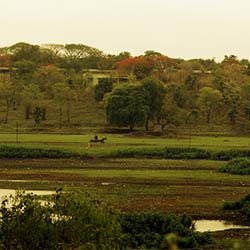 Telankhedi Garden in Nagpur