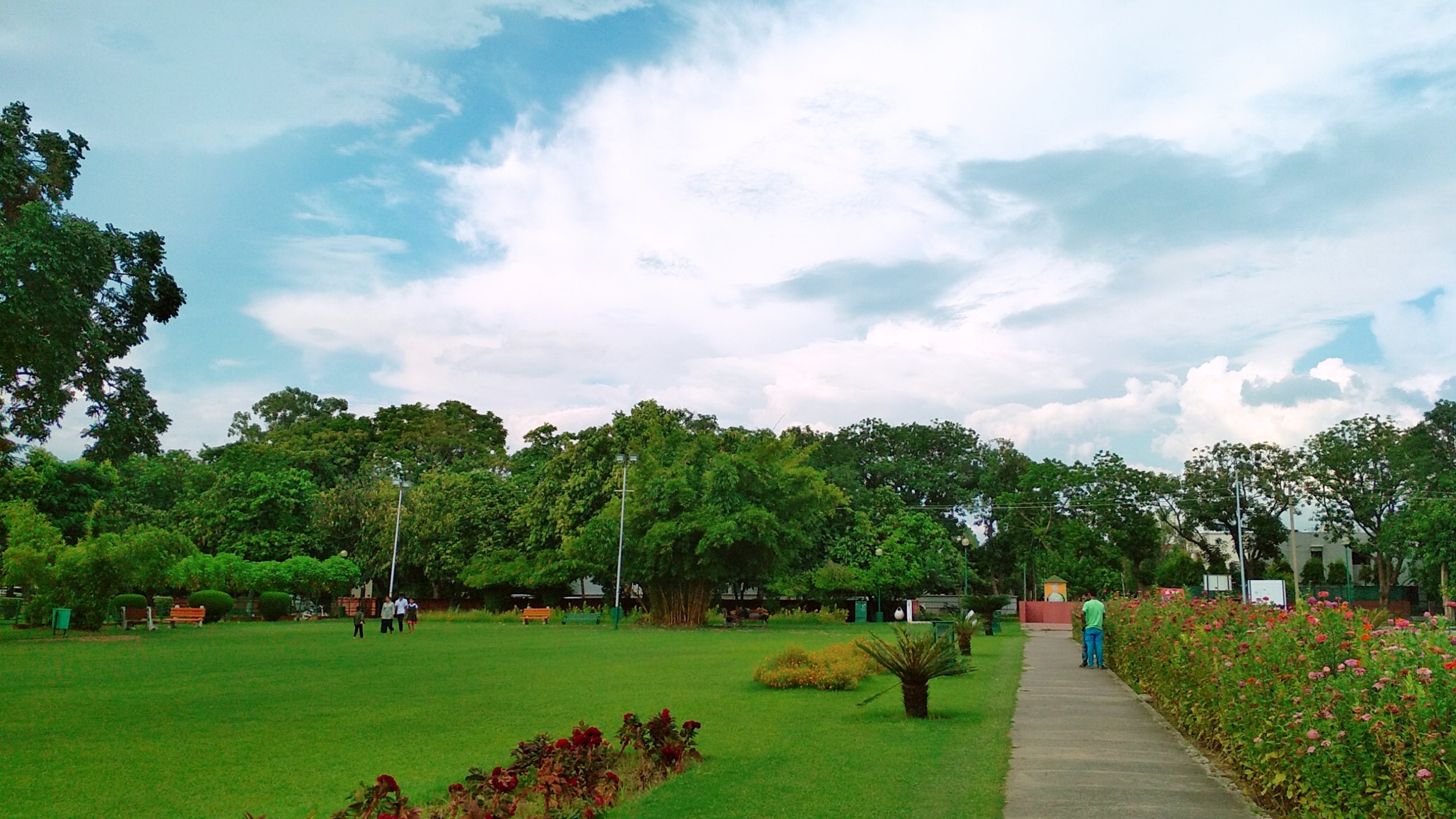 Terraced Flower Garden