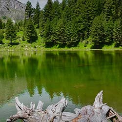 Thangkharang Park in Cherrapunji