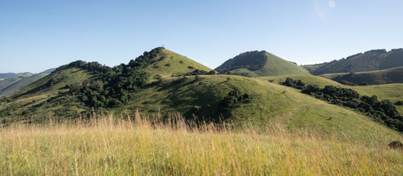 The Green Hills Of Africa