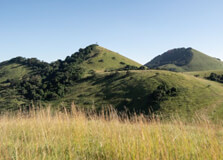 The Green Hills Of Africa in Nyeri