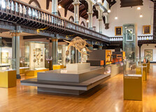 Hunterian Museum and Art Gallery in Glasgow