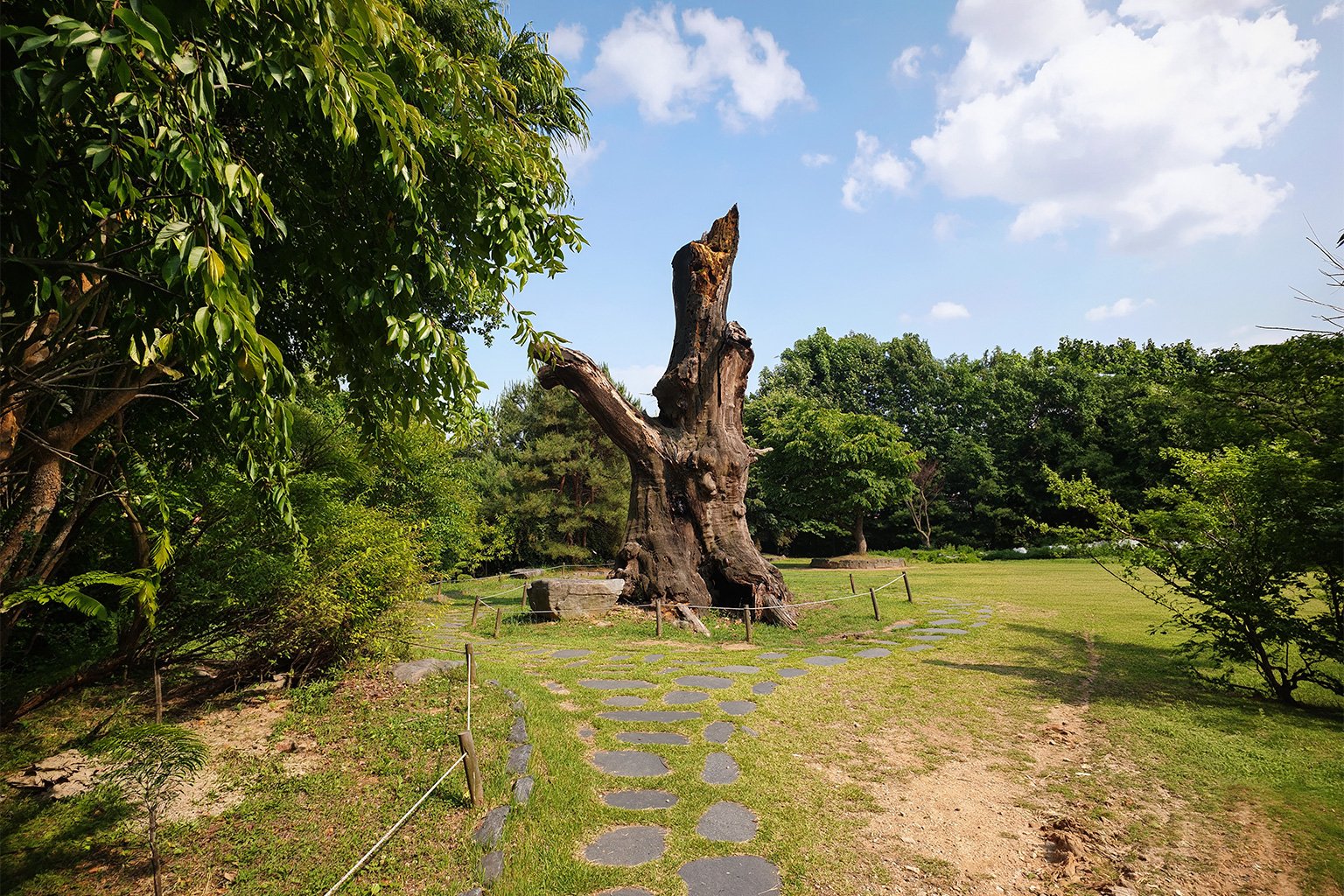 The Hwaseong Mulhyanggi Arboretum