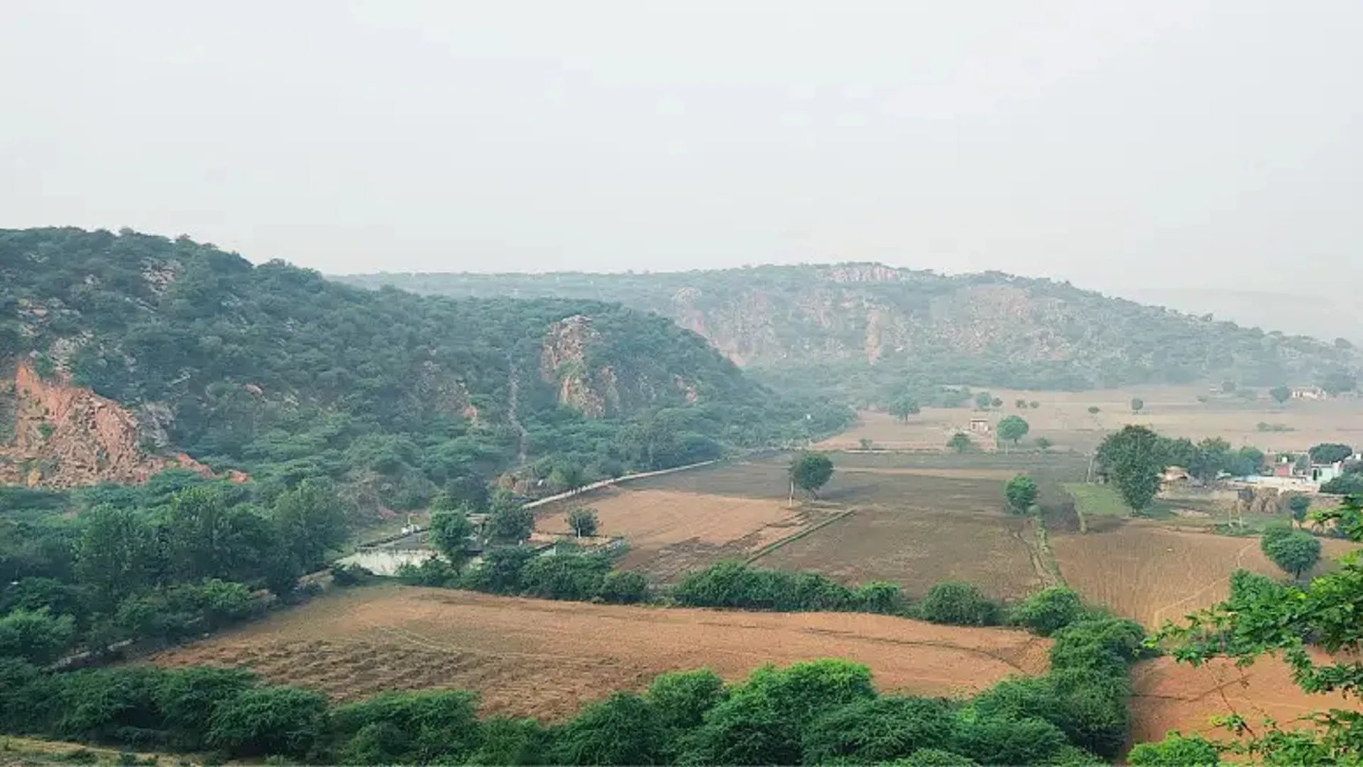 The Leopard Trail in Manesar Village