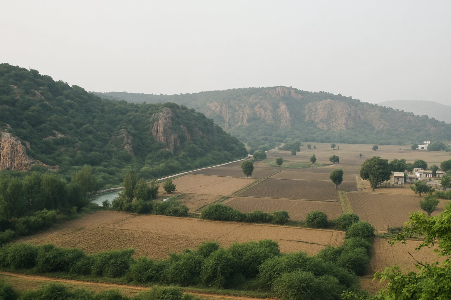 The Leopard Trail in Manesar Village