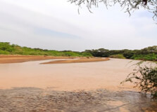 The Lorian Swamp in Garissa