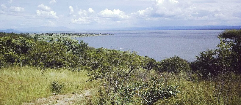 The Rukwa Basin