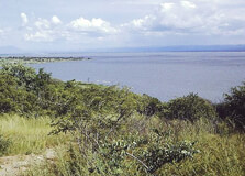 The Rukwa Basin in Mlele