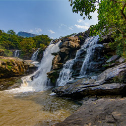 Thoovanam Falls in Munnar