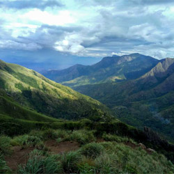 Top Station in Munnar