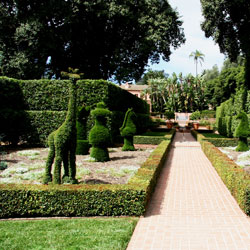Topiary Park in Chandigarh