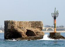 Tower of Flies in Acre
