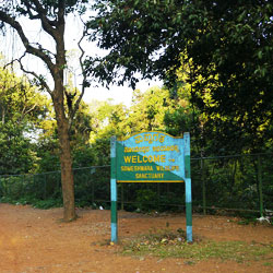 Trekking in Agumbe Ghat in Shimoga