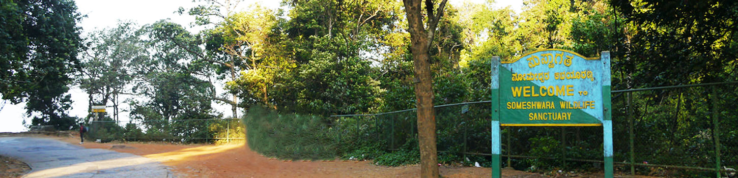 Trekking in Agumbe Ghat