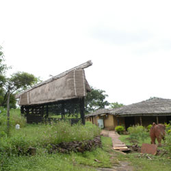 Tribal Habitat (Museum of Man): in Bhopal