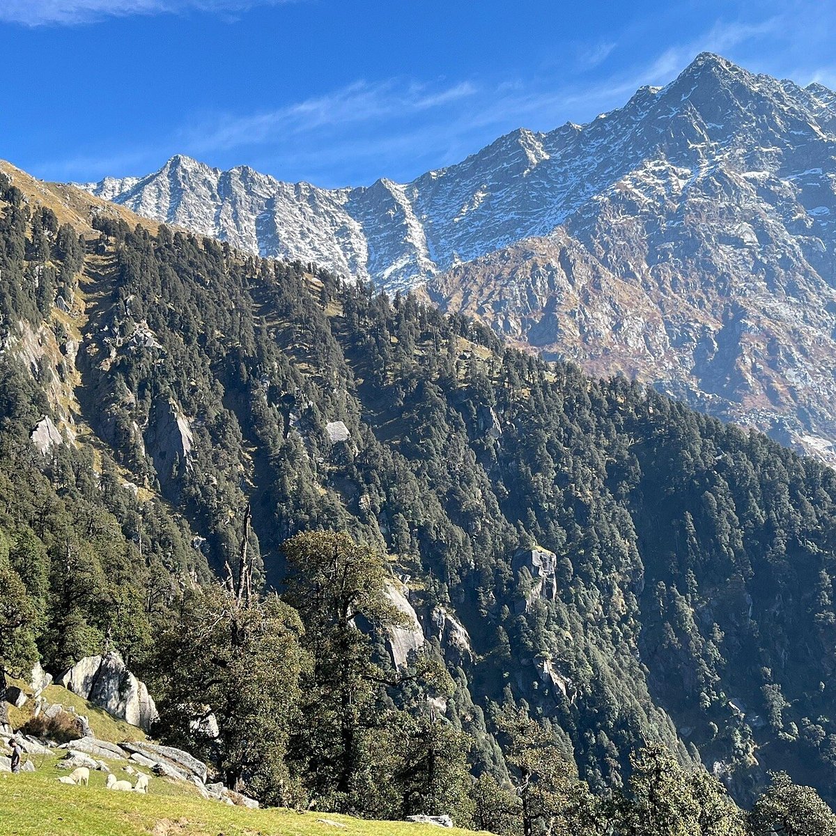 Triund Hill in Mcleodganj