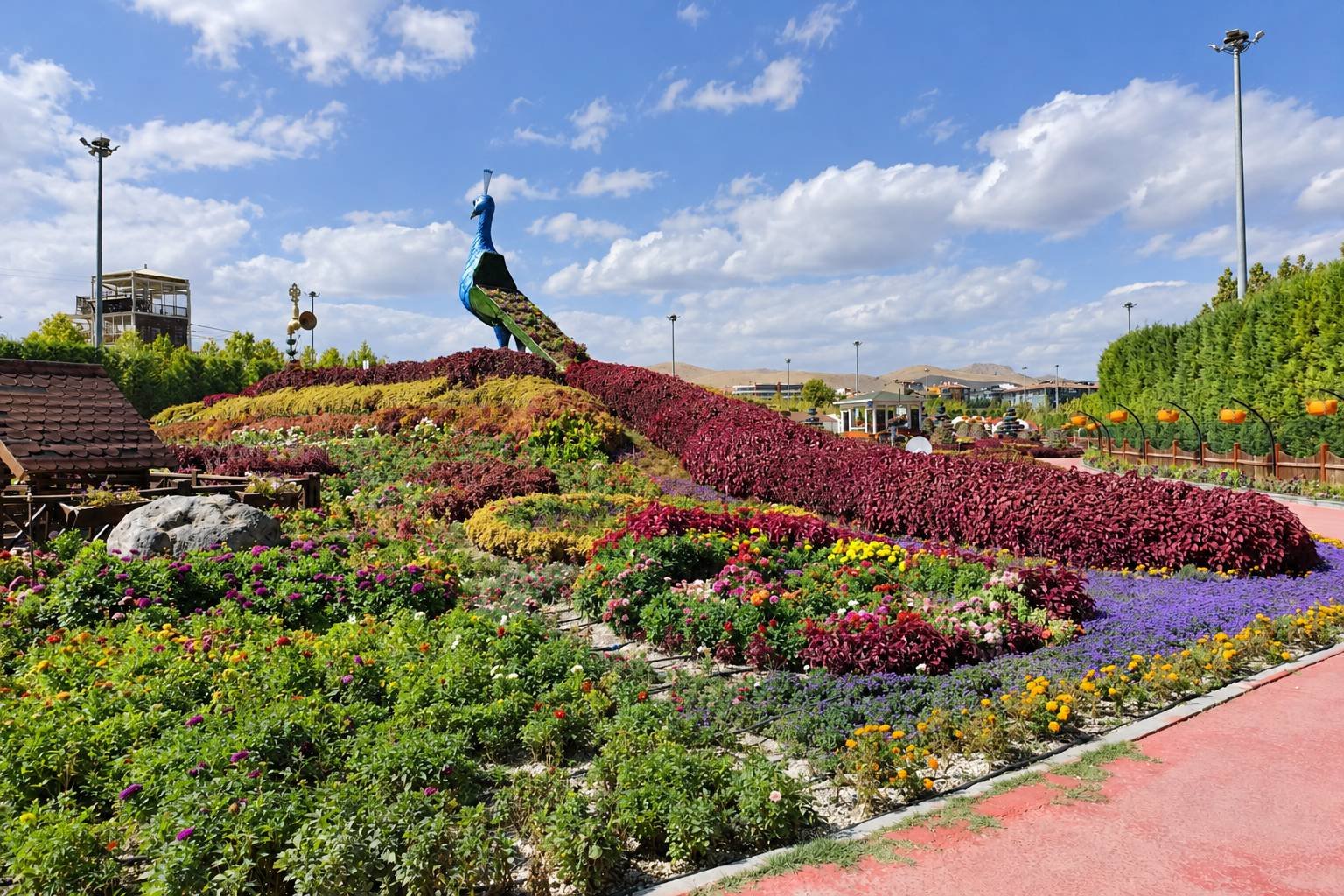 Tropical Butterfly Garden