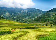 Tu Le Valley in Yen Bai