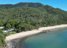 Turtle Bay Beach in Queensland