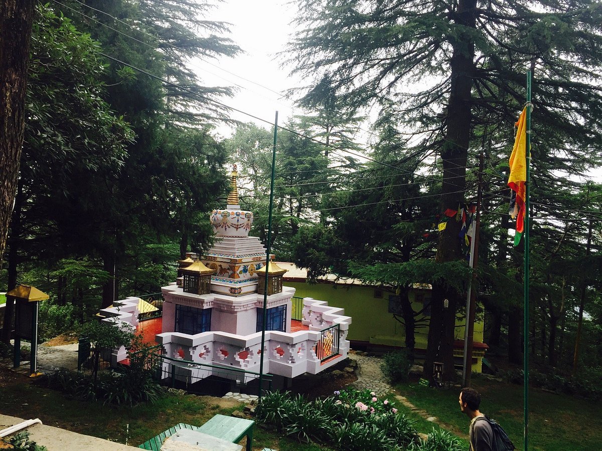 Tushita Meditation Centre in Mcleodganj