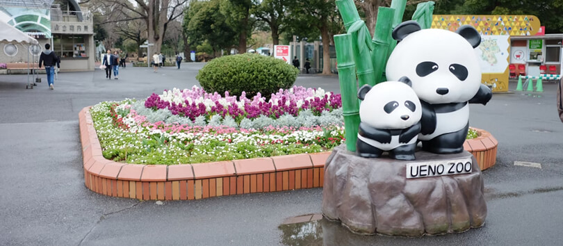 Ueno Zoo