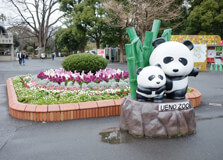 Ueno Zoo in Tokyo