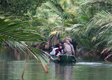 Ujung Kulon National Park in Java