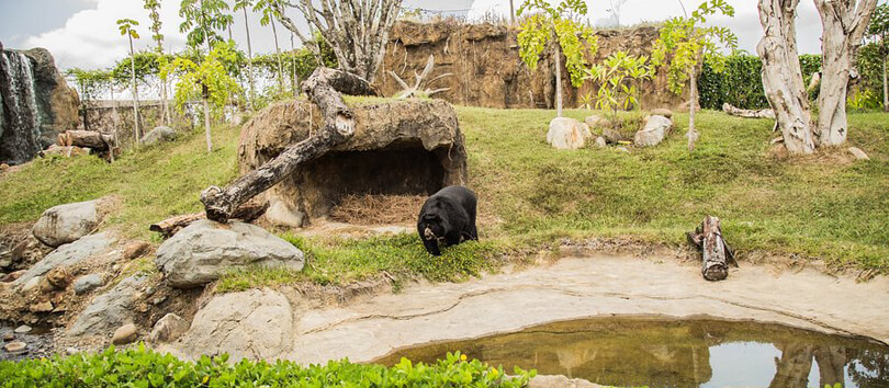 Ukumari Biopark
