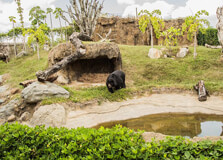 Ukumari Biopark in Pereira