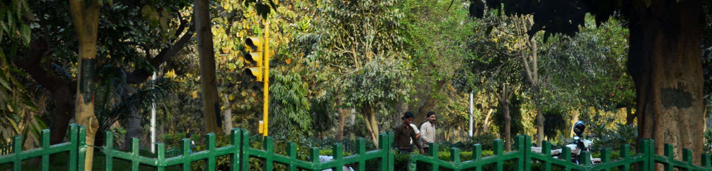 Urdu Park
