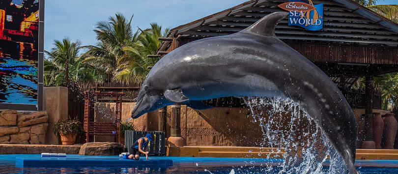 Ushaka Marine World
