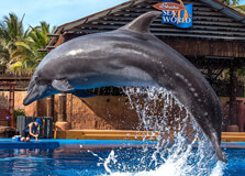 Ushaka Marine World in Durban