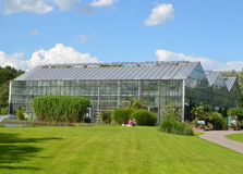 Utrecht University Botanic Gardens in Utrecht