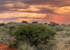 Vaalbos National Park in Northern Cape