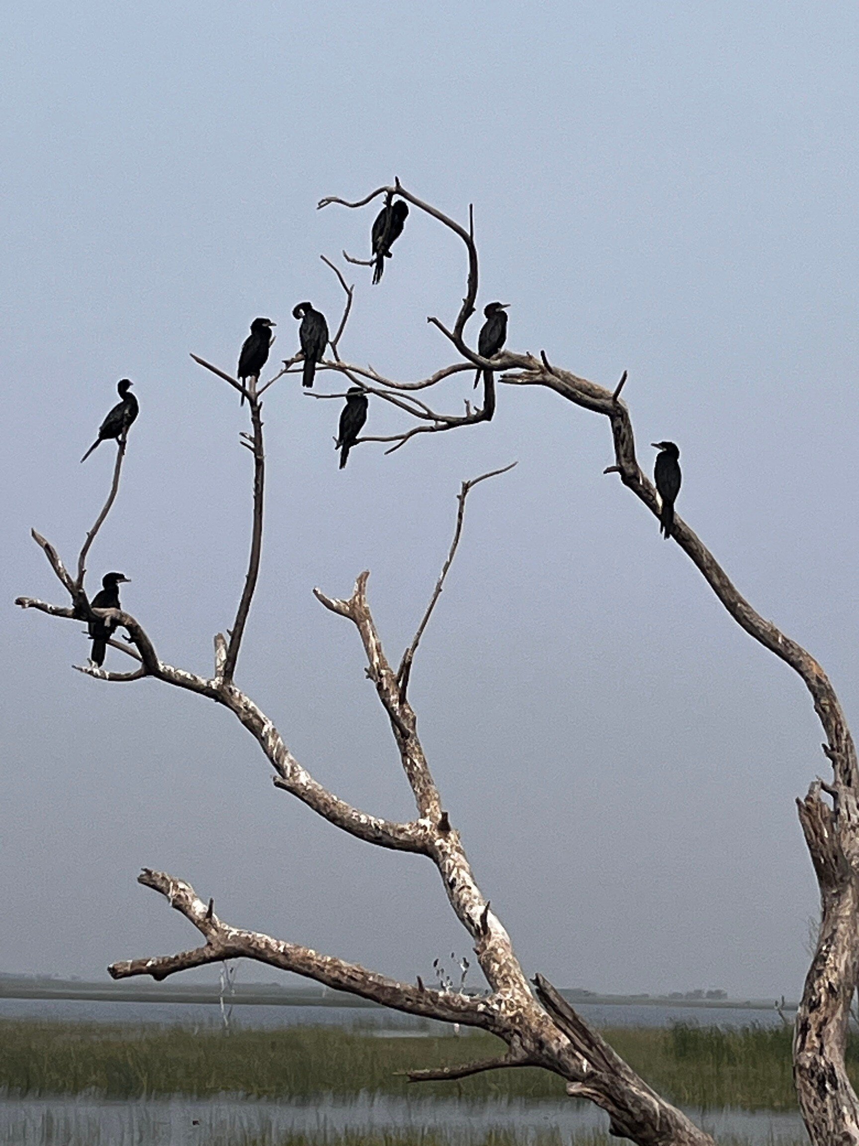 Vadla Bird View Point in Surendranagar