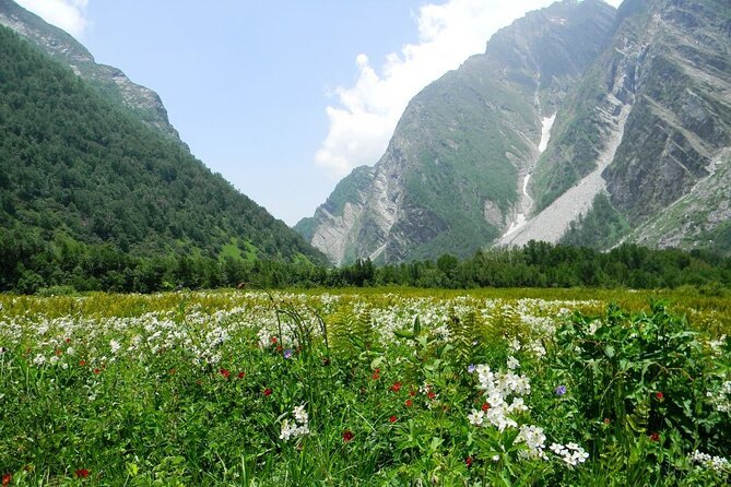 Valley of Flowers National Park in Chamoli