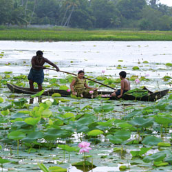 Vellayani Lake in Kovalam