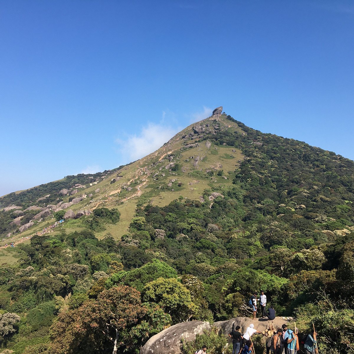 Velliangiri Mountains in Coimbatore