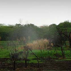 Victoria Park in Bhavnagar