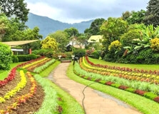 Victoria Park in Nuwara Eliya