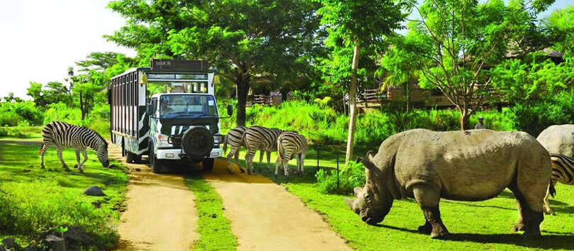 Vinpearl Safari